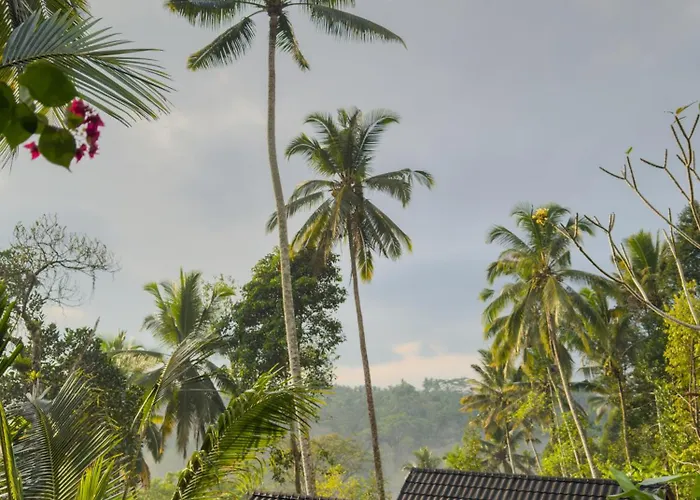 Ayung Melasti Wooden House Konukevi Payangan